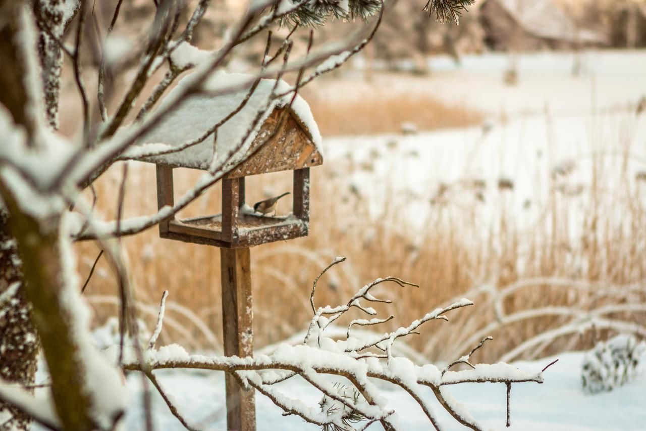 Дома для отпуска Amber House Agluonėnai